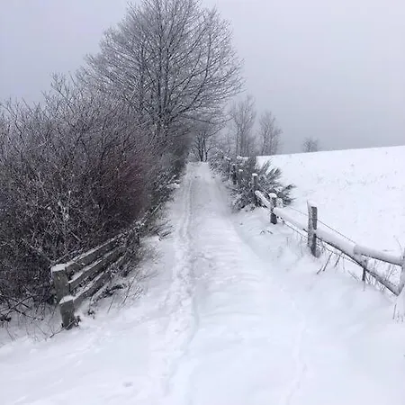 Uroczy Domek Skibowka Na Kaszubach 펜션 Kistowo