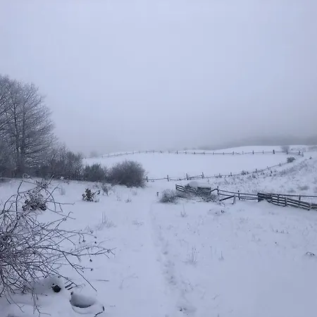 Uroczy Domek Skibowka Na Kaszubach 펜션 Kistowo