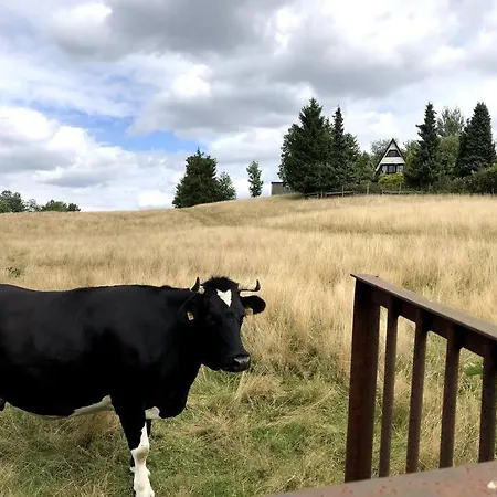 Feriehus Uroczy Domek Skibowka Na Kaszubach